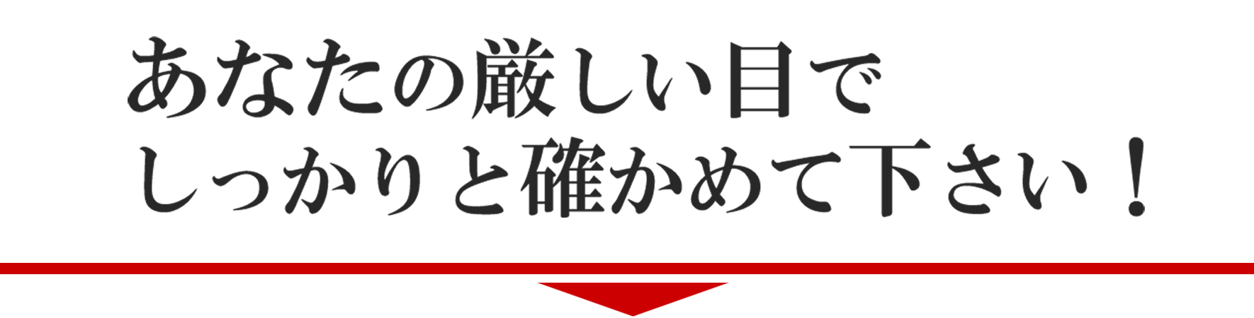 あなたの厳しい目でしっかりと確かめてください！